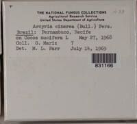Image Associated With the Occurence
